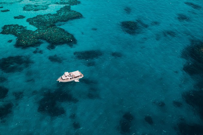 Great Barrier Reef Cruise from Townsville or Magnetic Island - Leaving Townsville or Magnetic Island at 7 a.m.