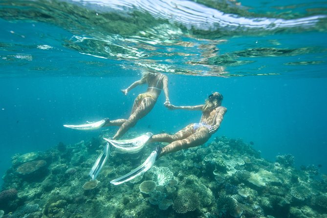 Great Barrier Reef Cruise from Townsville or Magnetic Island - Snorkeling with full-length suits and floating aids