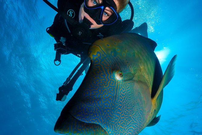 Great Barrier Reef Cruise - Gold Class VIP Lounge Package - Hastings Reef and the second water session