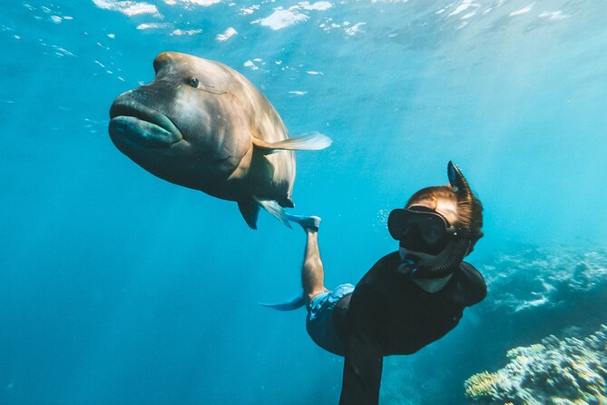 Great Barrier Reef Full Day Adventure - Stop 3: Reefworld and the pontoon