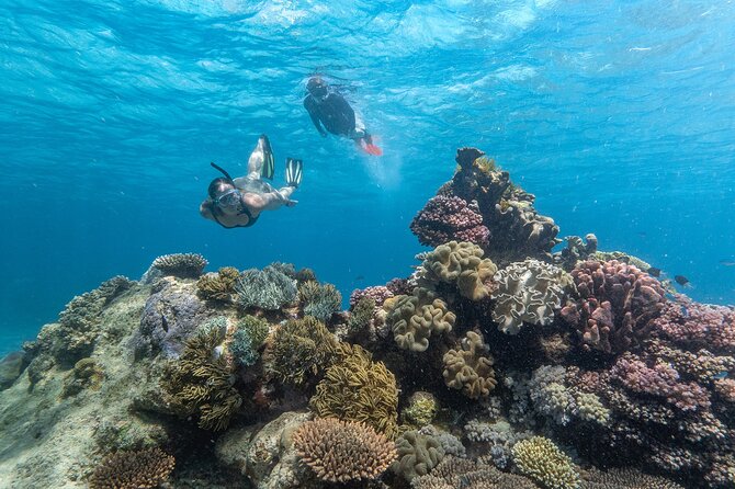 Great Barrier Reef Full Day Tour from Cairns - Leaving Cairns for the outer reef