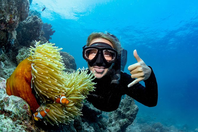 Great Barrier Reef Full Day Tour from Cairns - Is $197.24 good value?