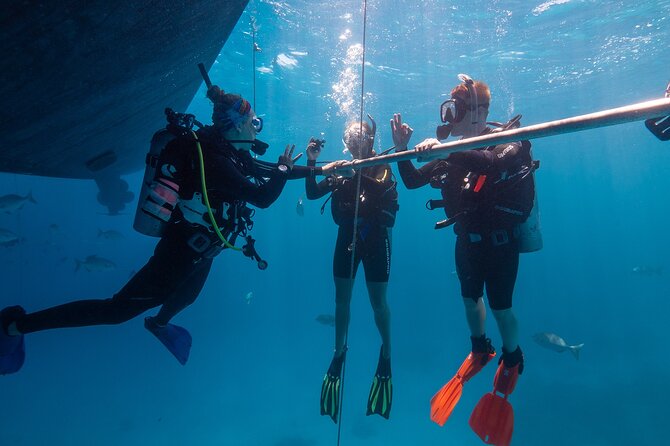 Great Barrier Reef Full Day Tour from Cairns - My verdict on the Divers Den day trip