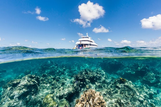 Great Barrier Reef Snorkeling and Diving Cruise from Cairns - A Full Reef Day from Cairns