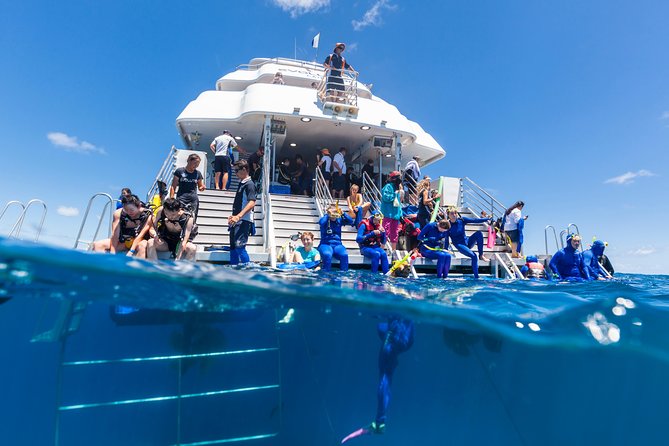 Great Barrier Reef Snorkeling and Diving Cruise from Cairns - Early Check-In at Reef Fleet Terminal
