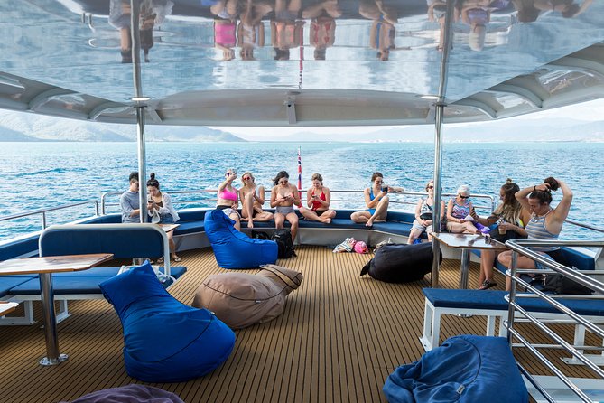 Great Barrier Reef Snorkeling and Diving Cruise from Cairns - What You See Beneath the Surface