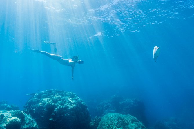 Great Barrier Reef Snorkeling and Diving Cruise from Cairns - The Barbecue Lunch on Evolution