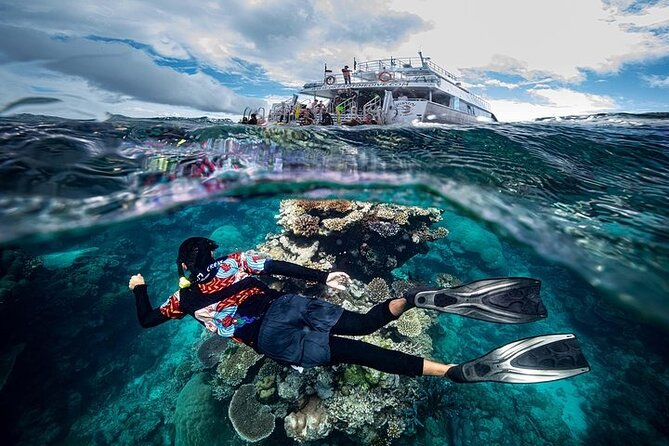 Great Barrier Reef with Cultural Guides-Dreamtime Dive & Snorkel - Leaving Cairns for Moore Reef