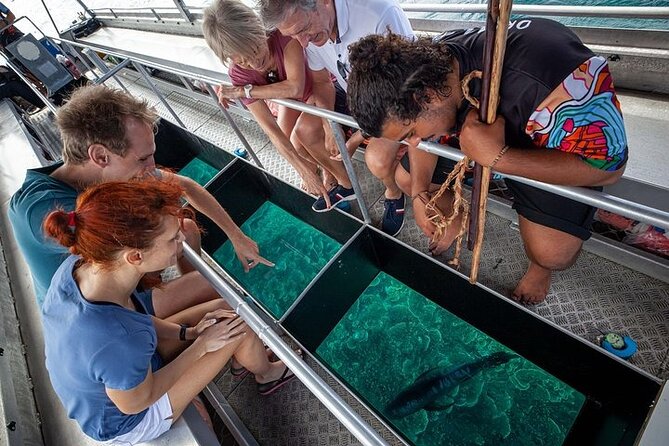 Great Barrier Reef with Cultural Guides-Dreamtime Dive & Snorkel - Who should book this day