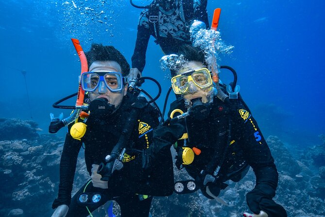 Great Barrier Reef with Cultural Guides-Dreamtime Dive & Snorkel - Practical details that shape the day