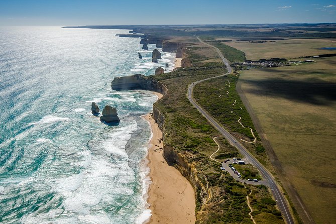Great Ocean Road 12 Apostles & Rainforest Walk with Morning Tea - Key points at a glance