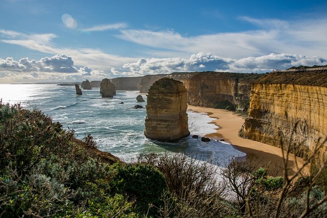 Great Ocean Road 12 Apostles & Rainforest Walk with Morning Tea - Why this 13-hour trip works from Melbourne
