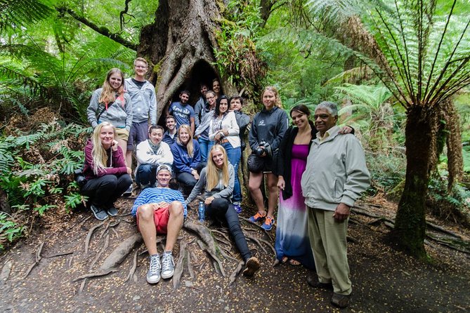 Great Ocean Road 12 Apostles & Rainforest Walk with Morning Tea - The Twelve Apostles are worth the long ride