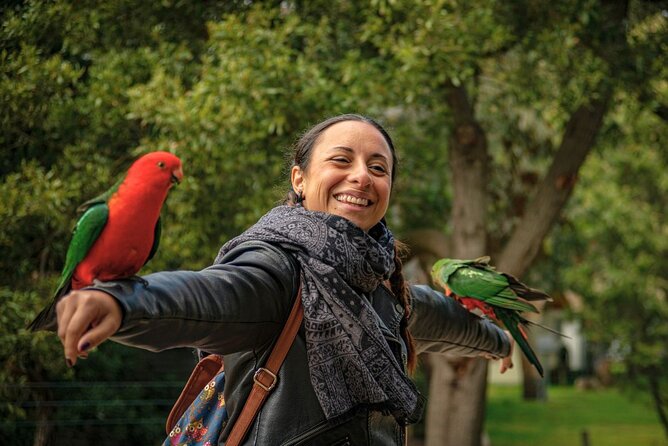 Great Ocean Road Full-Day Sunset Eco Tour from Melbourne - Lunch in Lorne or Kennett River