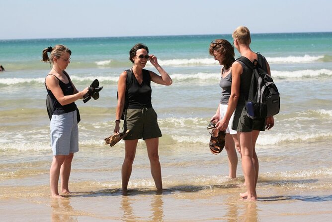 Great Ocean Road Full-Day Sunset Eco Tour from Melbourne - Kennett River is the wildlife highlight