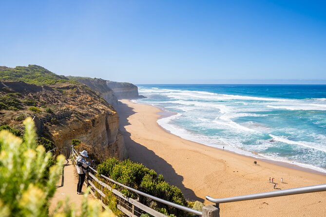 Great Ocean Road Reverse Itinerary Boutique Tour - Max 11 Guests - Great Otway National Park and Maits Rest