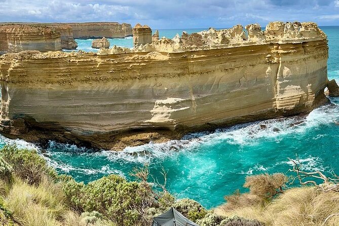 Great Ocean Road Reverse Itinerary Boutique Tour - Max 11 Guests - Kennett River and wildlife in the wild