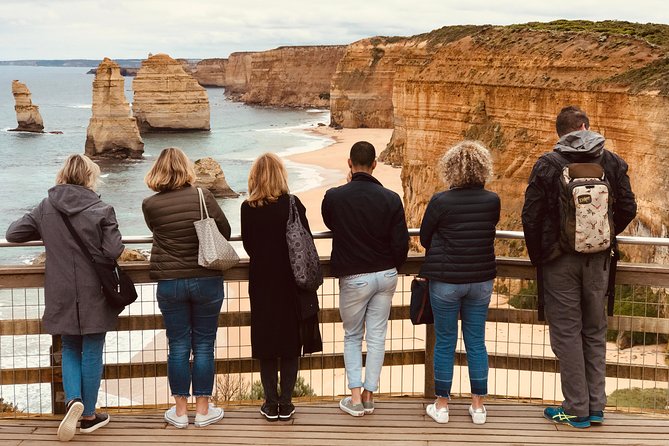 Great Ocean Road Reverse Itinerary PREMIUM Tour - Max 11 Guests - Maits Rest, a short walk under ancient trees