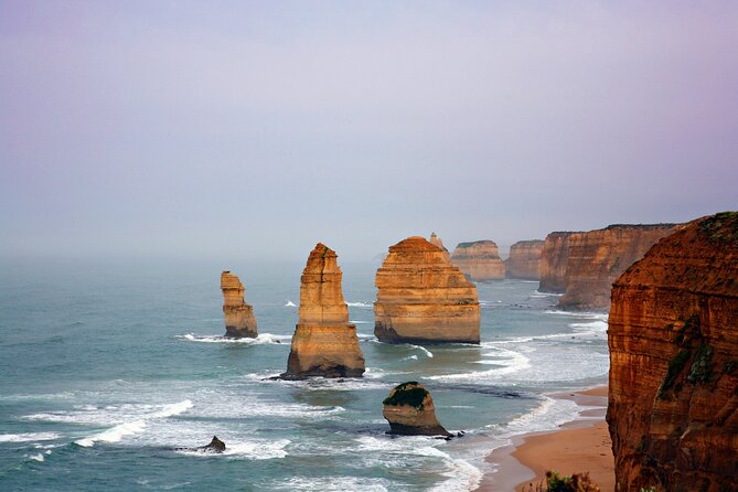 Great Ocean Road Reverse Tour with Iconic Stops & Wildlife - The road back through forest and coast