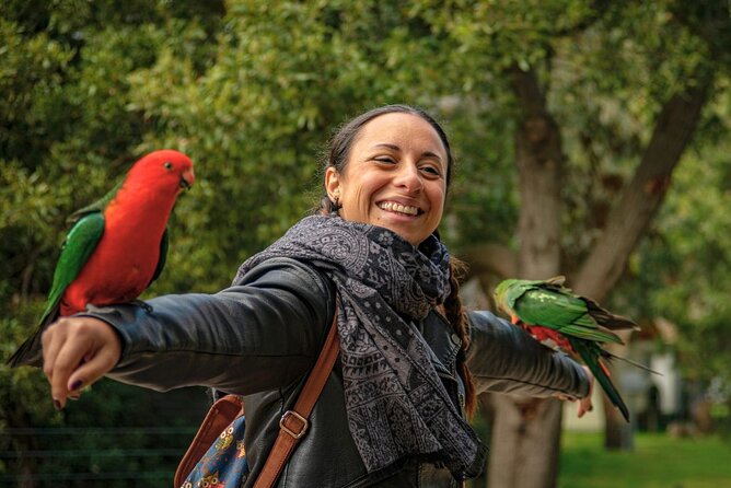 Great Ocean Road Small-Group Eco Tour from Melbourne - Kennett River is your best wildlife chance