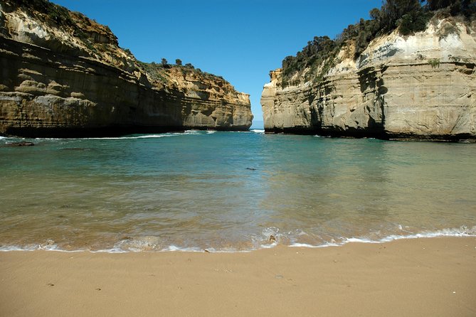 Great Ocean Road Tour Plus Koalas, Forest Walk and Morning Tea - Why this tour works as a Melbourne day trip