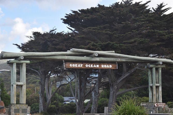 Great Ocean Road Tour Plus Koalas, Forest Walk and Morning Tea - Kennett River is the wildlife highlight