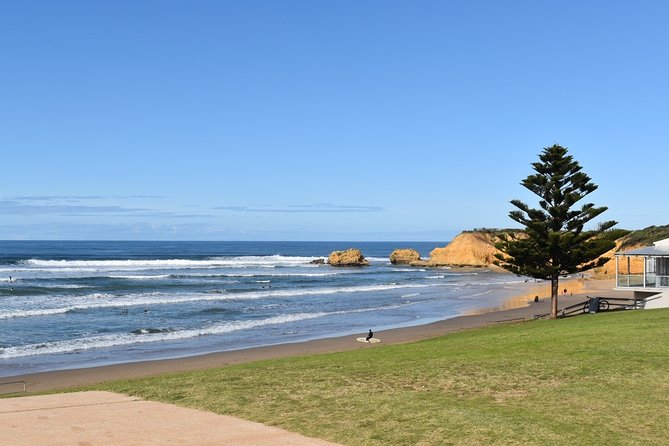 Great Ocean Road Tour Plus Koalas, Forest Walk and Morning Tea - Maits Rest changes the pace