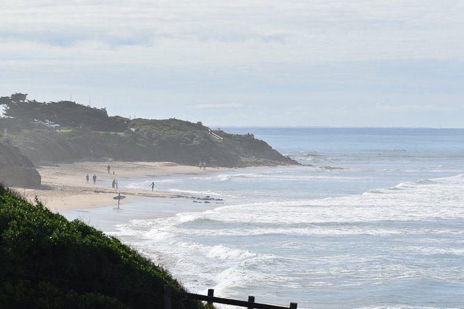 Great Ocean Road Tour Plus Koalas, Forest Walk and Morning Tea - The Twelve Apostles deserve their own time