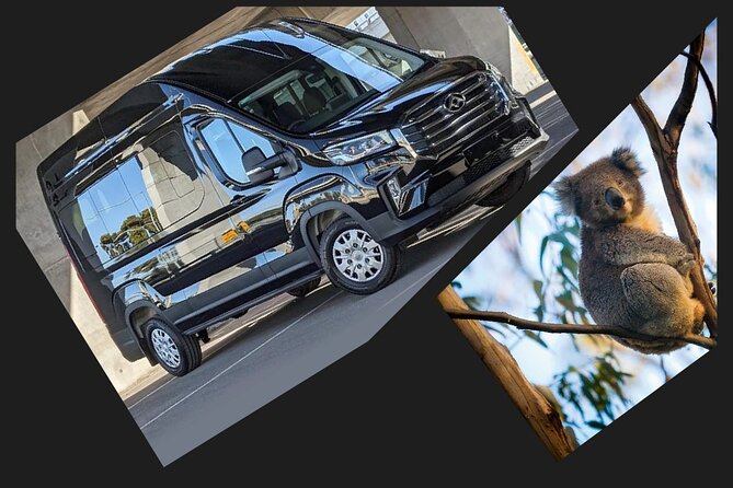 Great Ocean Road Tour Reverse –SML GRP-DLUX Mini Bus Hotel Pickup - Memorial Arch, Anglesea, and the ride home