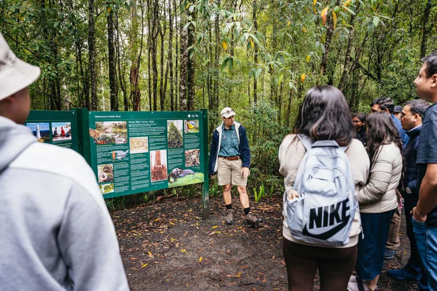 Great Ocean Road Tour w/ Deluxe Minibus & Top-Rated Guide - Kennett River and the search for koalas