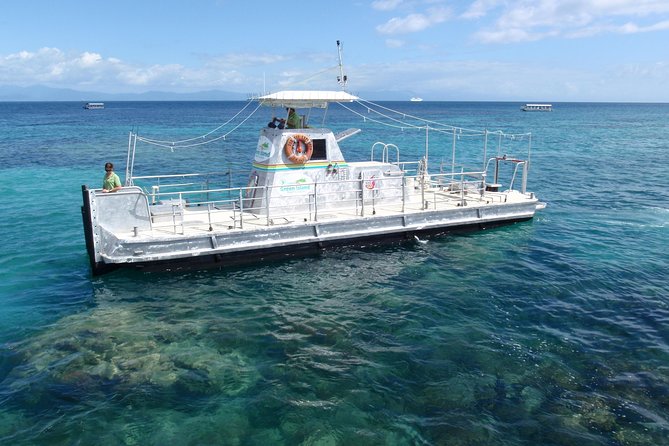 Green Island Half-Day Trip from Cairns - What the reef viewing is really like