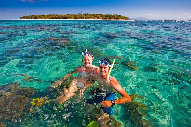 Green Island Half-Day Trip from Cairns - Price, group size, and what your $83.92 covers