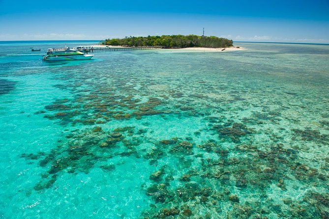 Green Island Half-Day Trip from Cairns - Who should book this half-day outing?