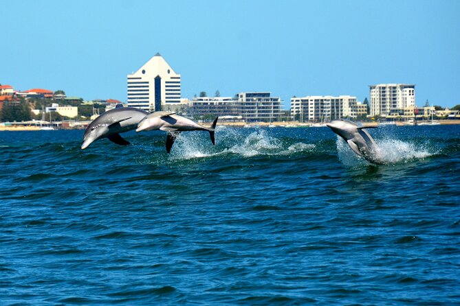 Guided Dolphin Eco-Cruise in Koombana Bay - Timing and the cooler-month departure change