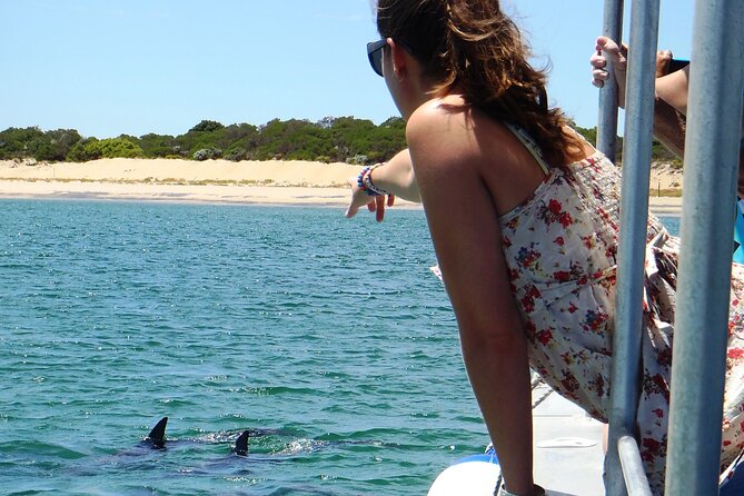 Guided Dolphin Eco-Cruise in Koombana Bay - What happens during the 75-minute cruise