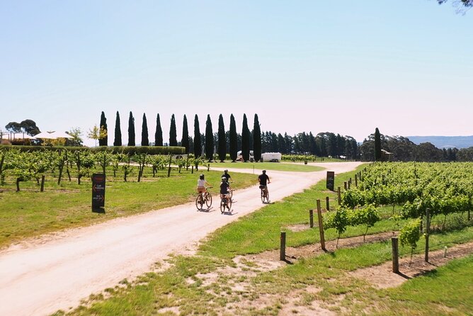 Hahndorf food and wine E-Bike Tour - Udder Delights brings cheese, bread, and quince paste