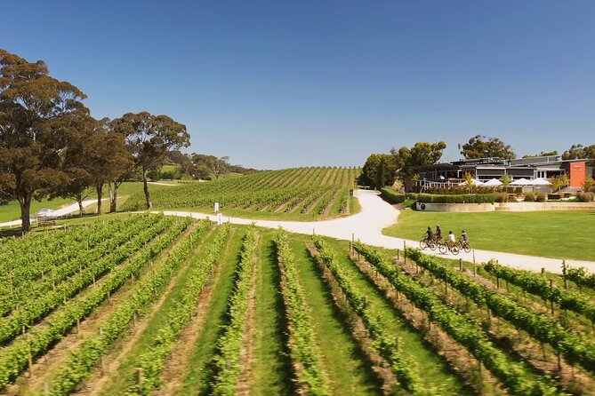 Hahndorf food and wine E-Bike Tour - Shaw and Smith delivers the serious wine tasting