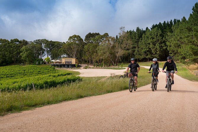 Hahndorf food and wine E-Bike Tour - The Lane Vineyard closes the loop