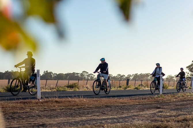 Half Day E-Bike Hire Echuca - Choosing between a winery, café, or picnic