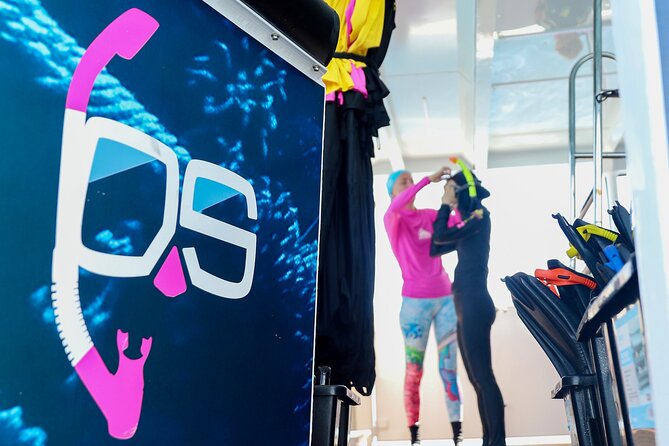 Half Day Great Barrier Reef Snorkeling Tour - What the reef stop can offer