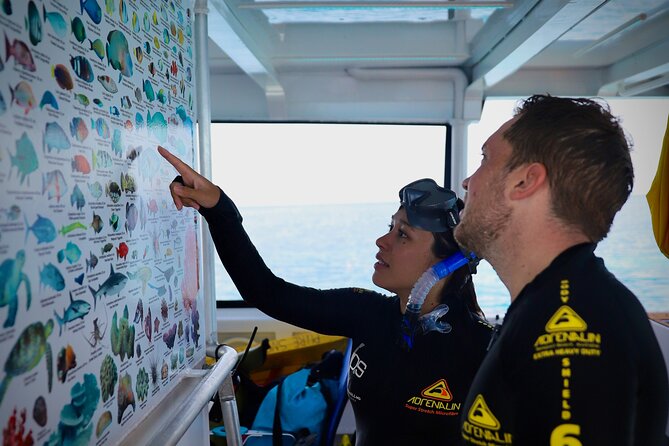Half Day Great Barrier Reef Snorkeling Tour - Price and value at $142.73