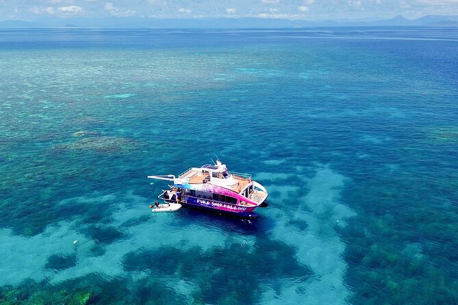 Half Day Great Barrier Reef Snorkeling Tour - A short schedule built around reef time