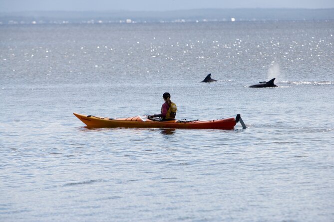 Half-Day Jervis Bay Sea Kayak Tour - Paddling the turquoise water of Booderee National Park