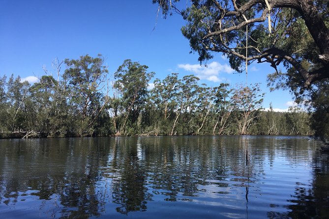 Half-Day Jervis Bay Sea Kayak Tour - What $104 buys you