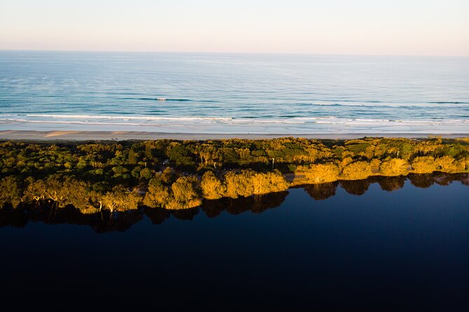 Half Day Learn to Surf Tour From Byron - Why the instructors matter for first-timers