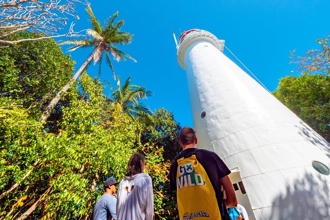Half Day Low Isles Snorkelling Tour from Port Douglas - Key points to know before you book