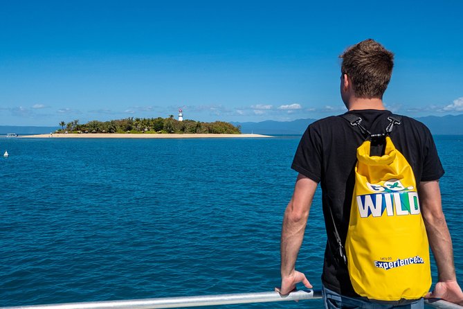 Half Day Low Isles Snorkelling Tour from Port Douglas - Snorkelling in the sheltered coral gardens