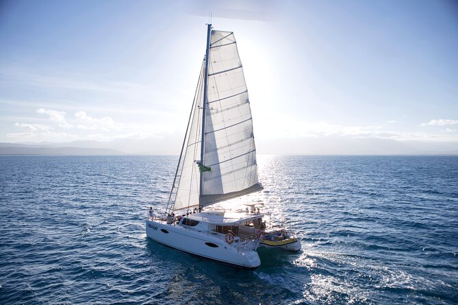 Half Day Low Isles Snorkelling Tour from Port Douglas - Crew care for nervous swimmers and families