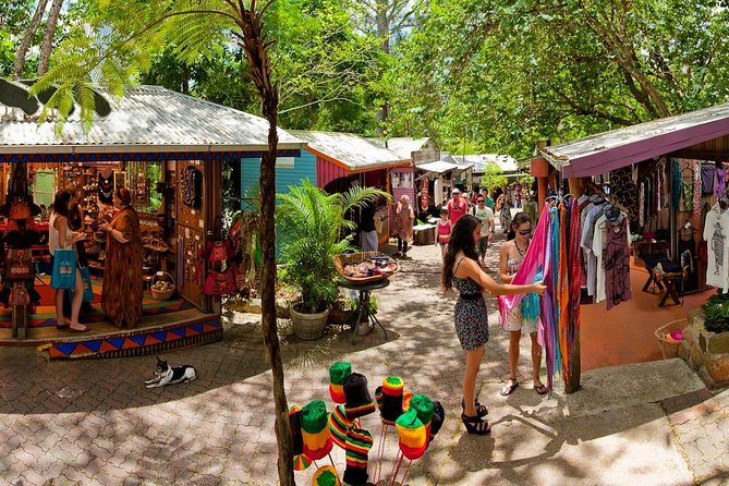 Half Day Low Isles Snorkelling Tour from Port Douglas - Snacks, tea, and the practical rhythm of the visit