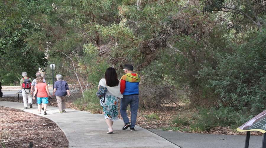 Half-Day Morning Perth & Fremantle City Explorer - Why this half-day route works for Perth